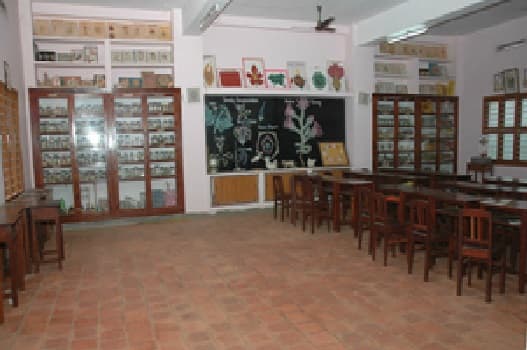 St Ignatius College of Education Tirunelveli Campus photo 3